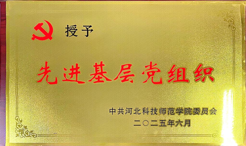 博达软件