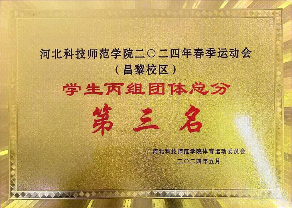 博达软件